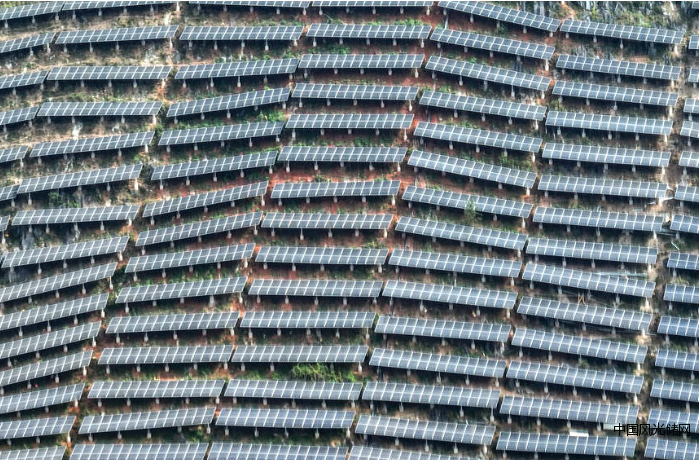 QQ截圖20220420162045