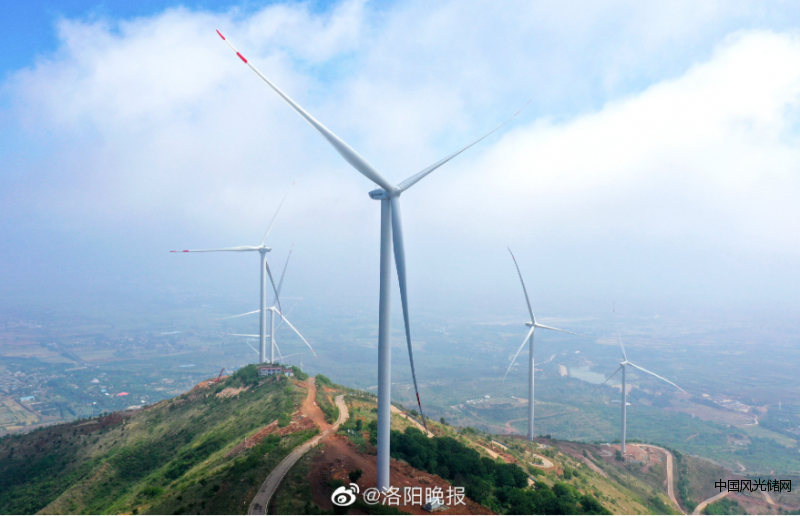 QQ截圖20220511194729